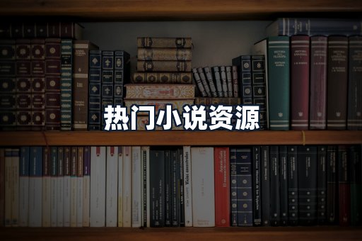 热门小说资源